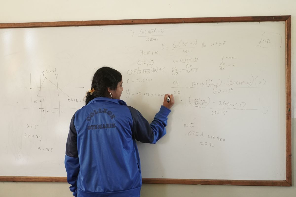 Studying Mathematics at Private Secondary college Mauritius